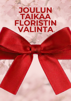 Joulun taikaa- floristimme valinta