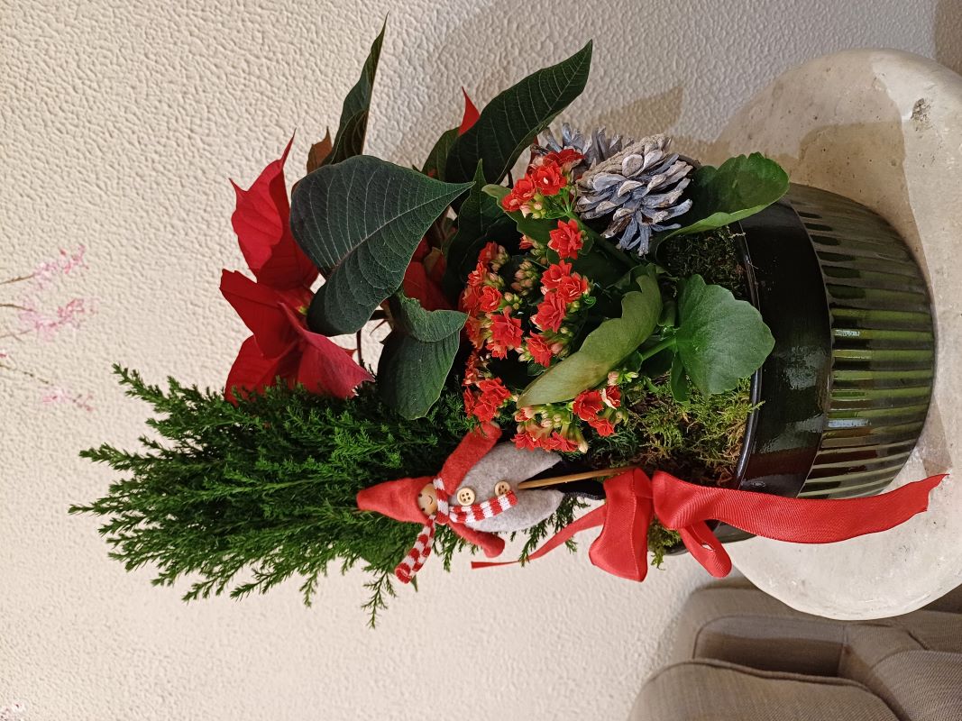 Joulun punainen asetelma