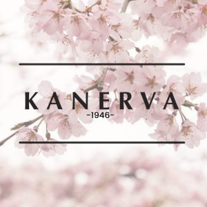 Hiuskoriste kukista — työpaja